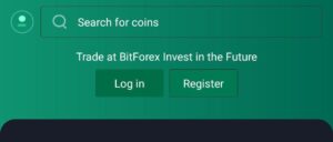 ¿Qué es BitForex?